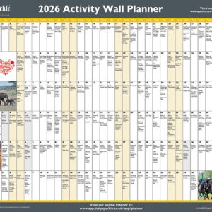 Activity Wall Planner 2026